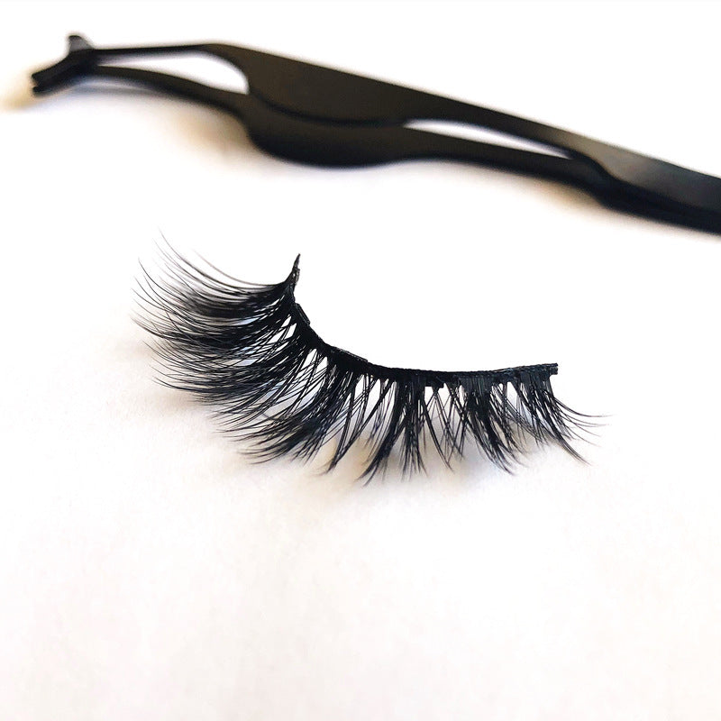 A Pair Of False Magnetic Eyelashes